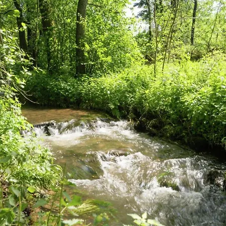 シャレー Spacious In