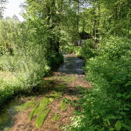 Σαλέ Spacious In *